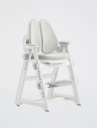 Adjustable Study Chair(Presale US&CA ONLY)