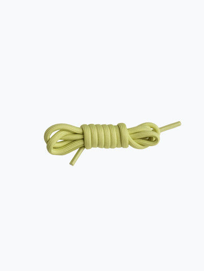 Rainbow Shoelace