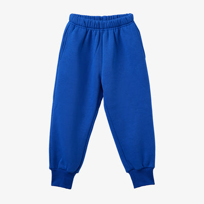 Casual Thick Fleece Sweatpants