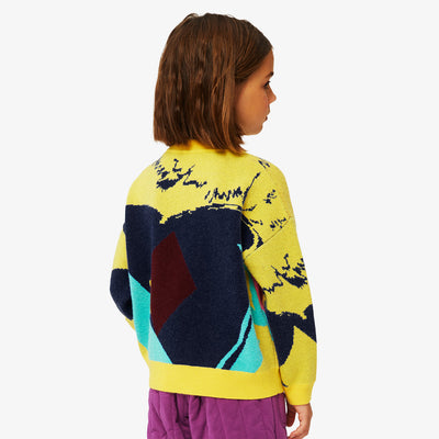 Geometric Print Crew Neck Sweater