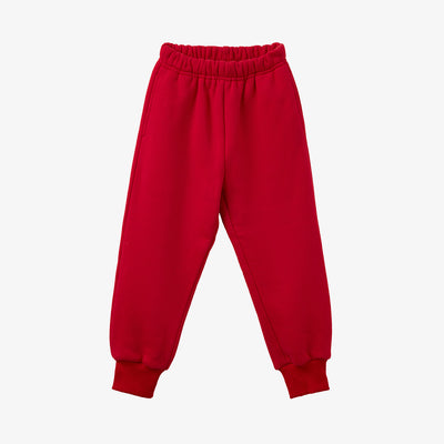 Casual Thick Fleece Sweatpants